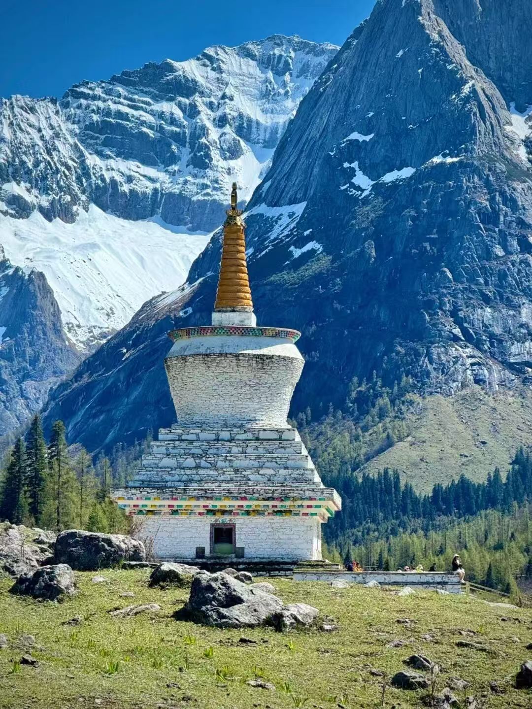 1773208714674664.jpg 7cc658efdaf5b8c9eac7722ea713c486.jpg