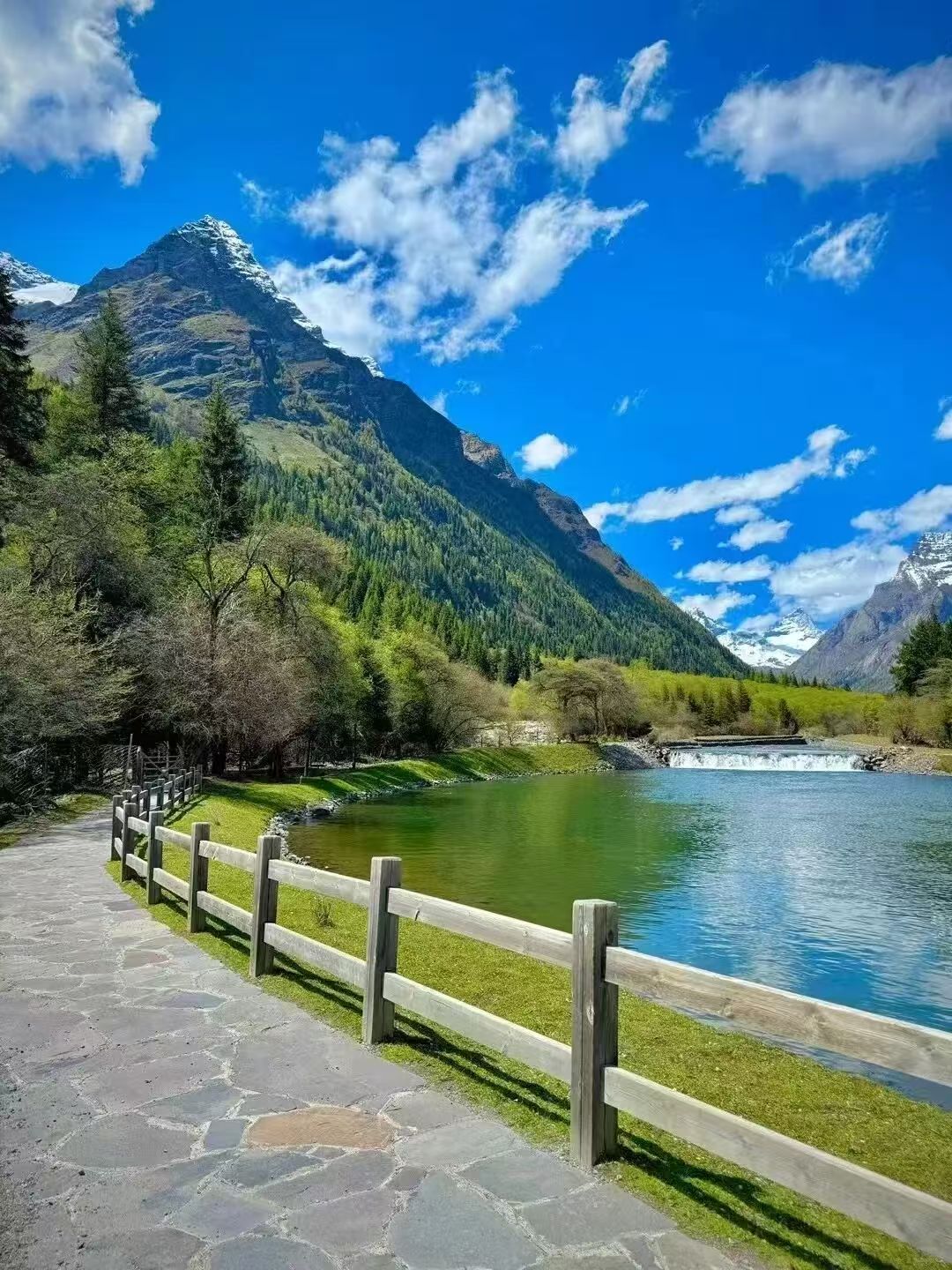 1773208740206290.jpg 06f3cd813bcc2619bf08ca4aaf8bf2d3.jpg