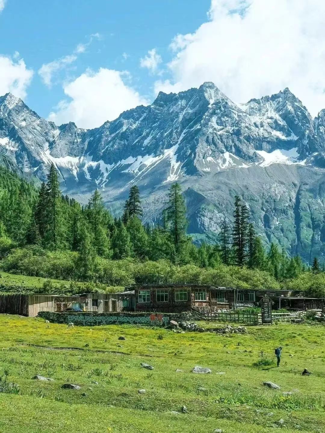 1773208752389792.jpg 25ca6efe43600736fbbed4a0b7779338.jpg