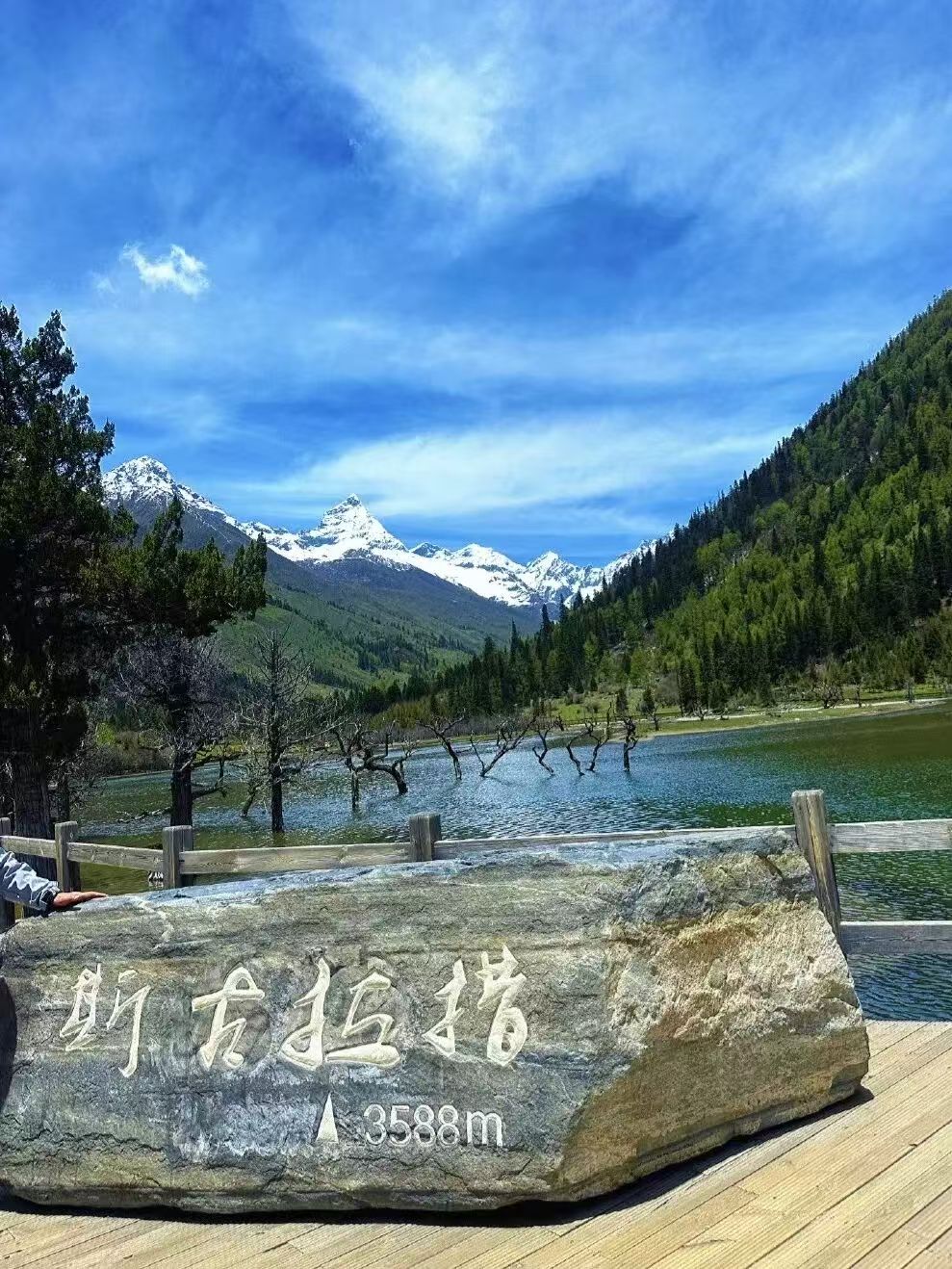 1773208771512412.jpg 584d06fb216cc23972b22868981e0019.jpg