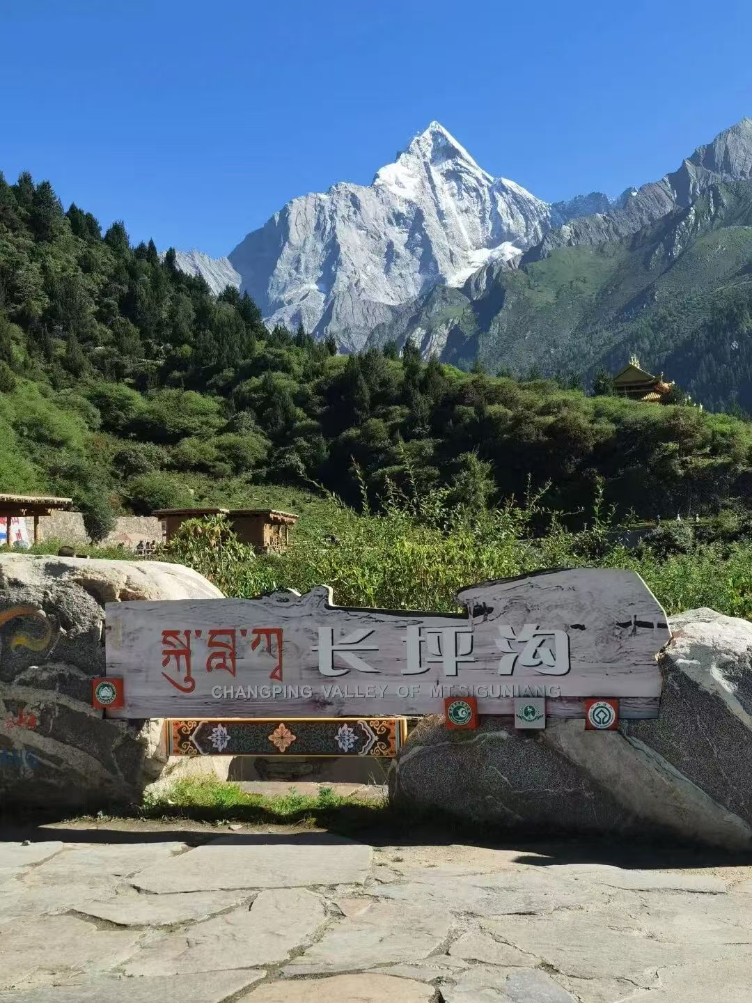 1773208793854080.jpg 5cfc6f35b61cc9af4027e17b2d845eee.jpg