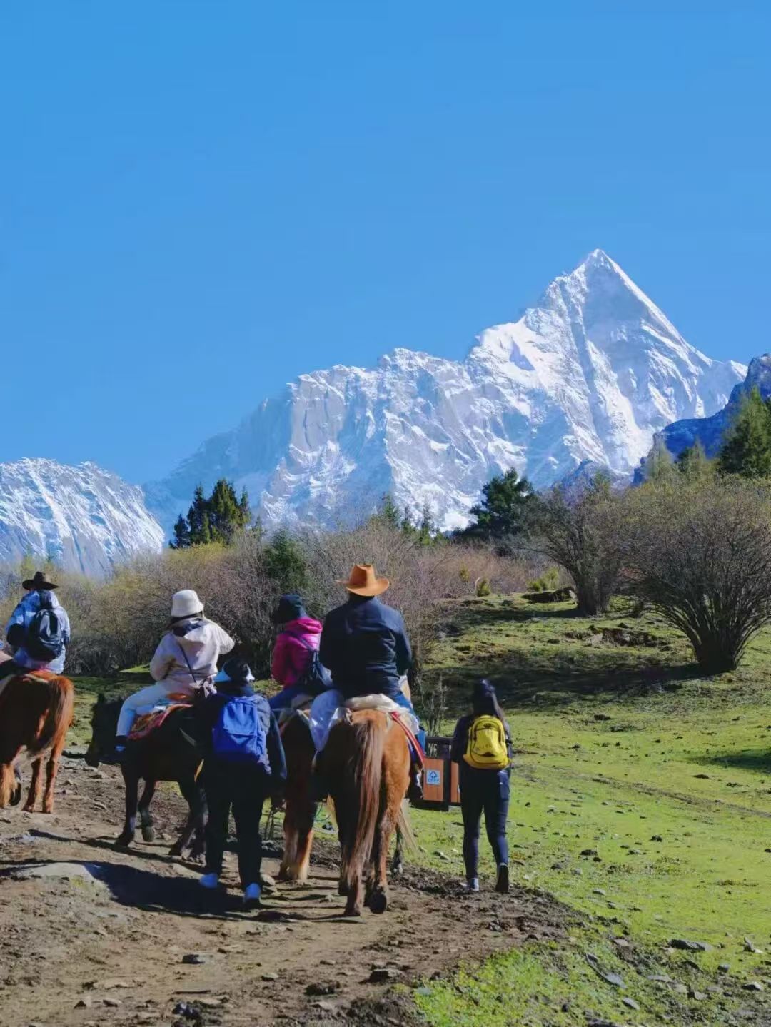 1773208801803424.jpg 7a8cd4a1dea7de6f308bd2a24358a3e2.jpg