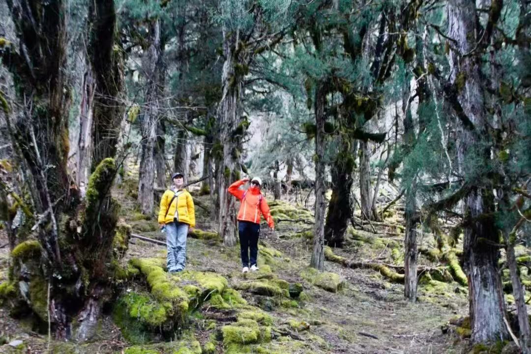 1773208811492051.jpg f1c6551d18ee1365414d4875d5d4c5bd.jpg