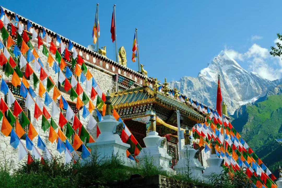 1773208825509940.jpg 74097f911bf6d651d8bf3274b1613807.jpg