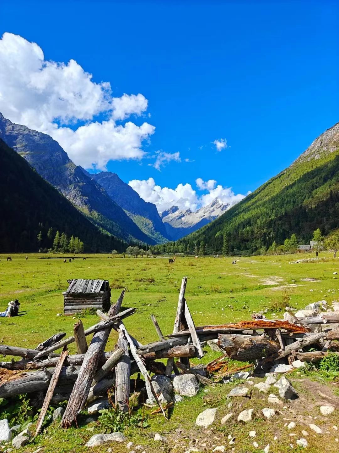 1773208847753873.jpg 0b820b13f2f6bd06dd54d4b89496898d.jpg