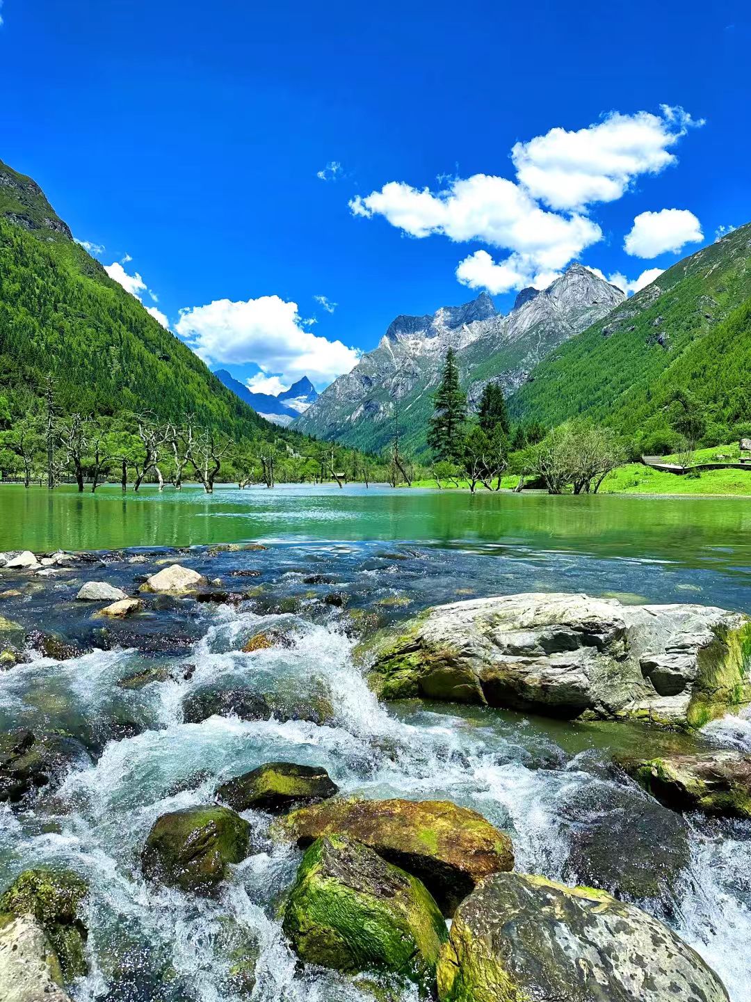 1773209289701072.jpg 4a90c85dfa61b12cb0b578639ce875a6.jpg