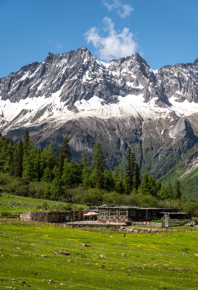 1773209302238323.png 24747dc1d79f706479c1c146e10326d8.png