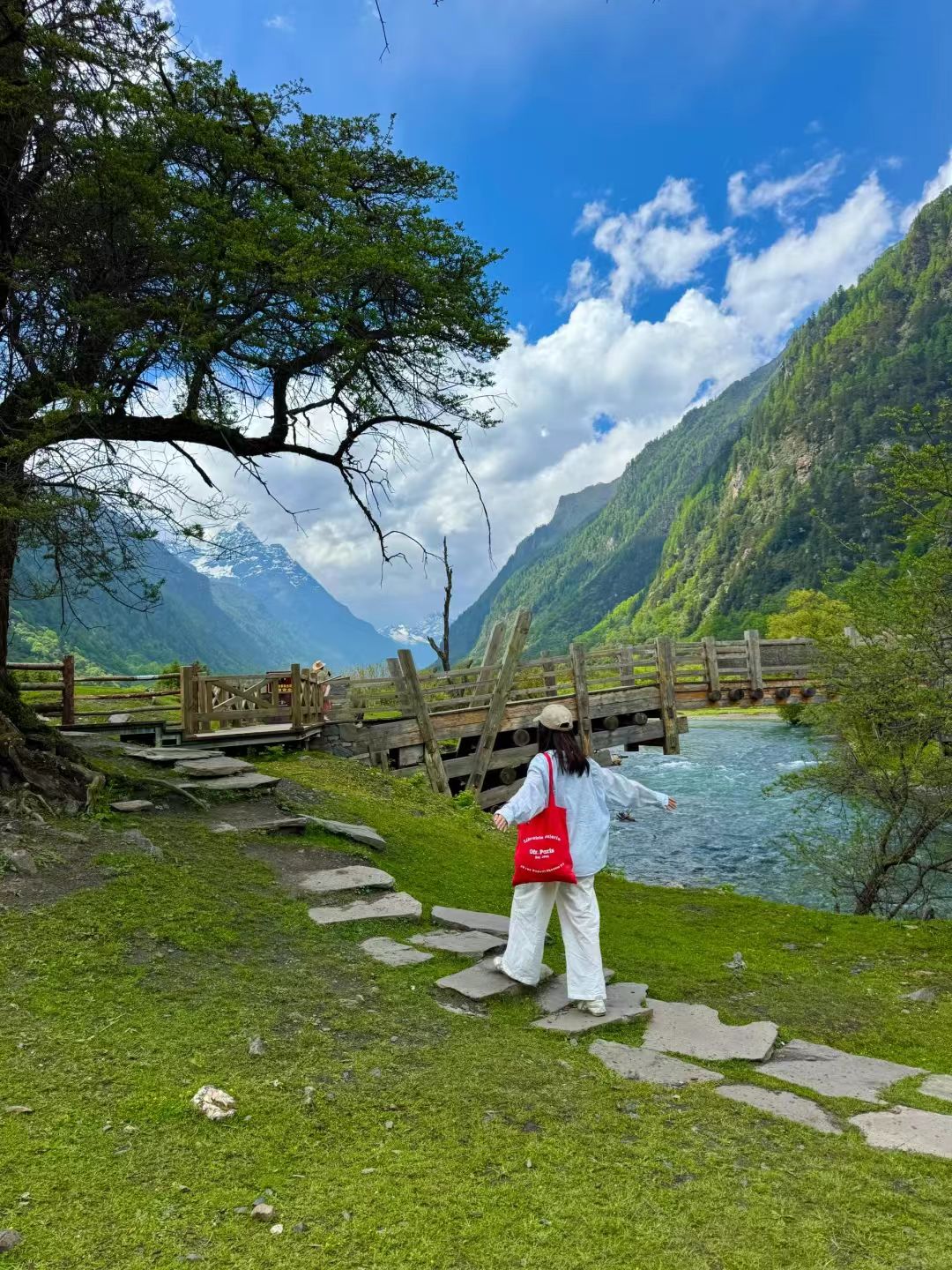 1773210536494843.jpg 3b5e2c94962dc1fa4ff1abede8c18a47.jpg