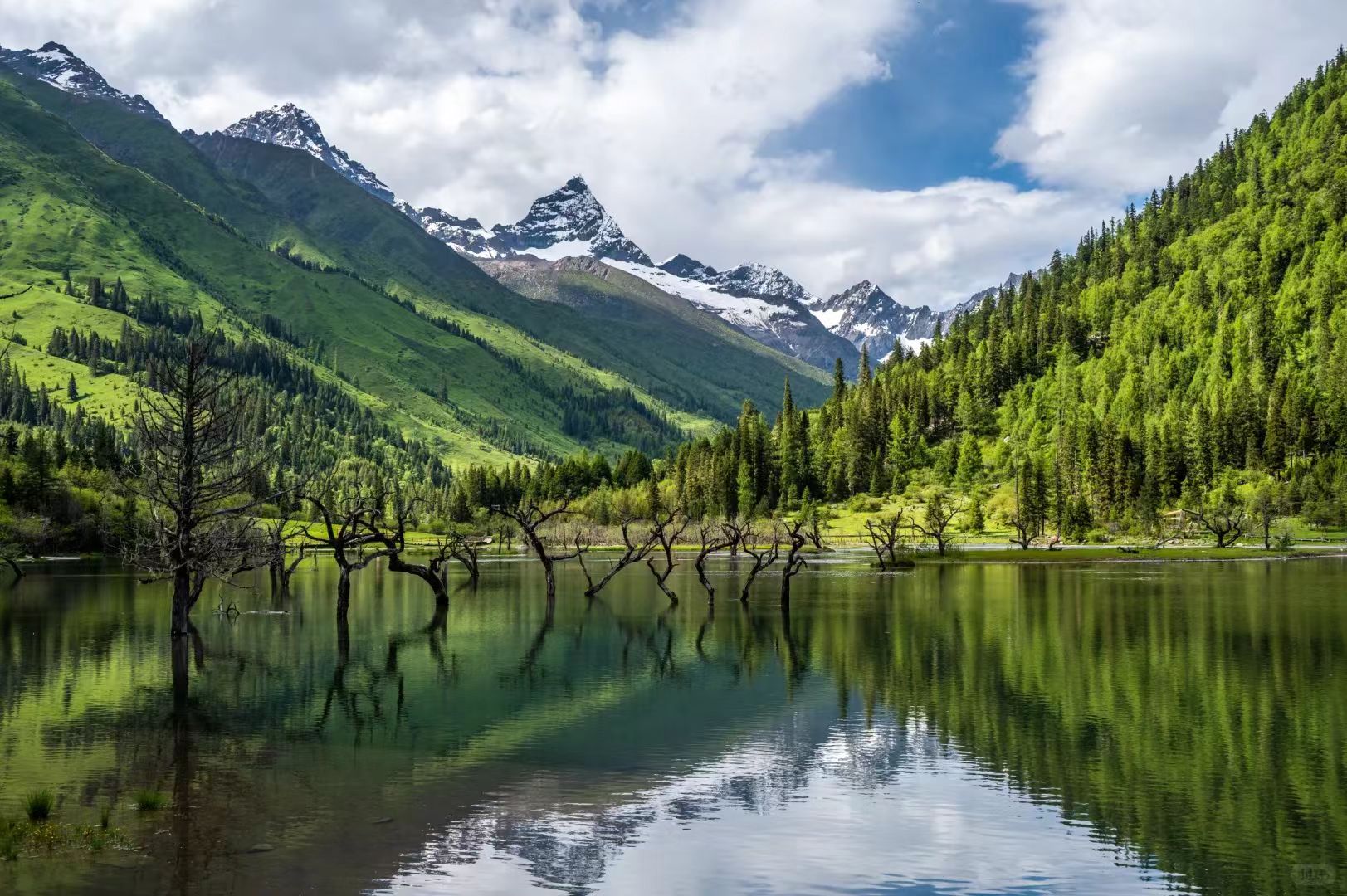 1773210571381590.jpg bebd3e9132a247e8614d260bf0ed9237.jpg