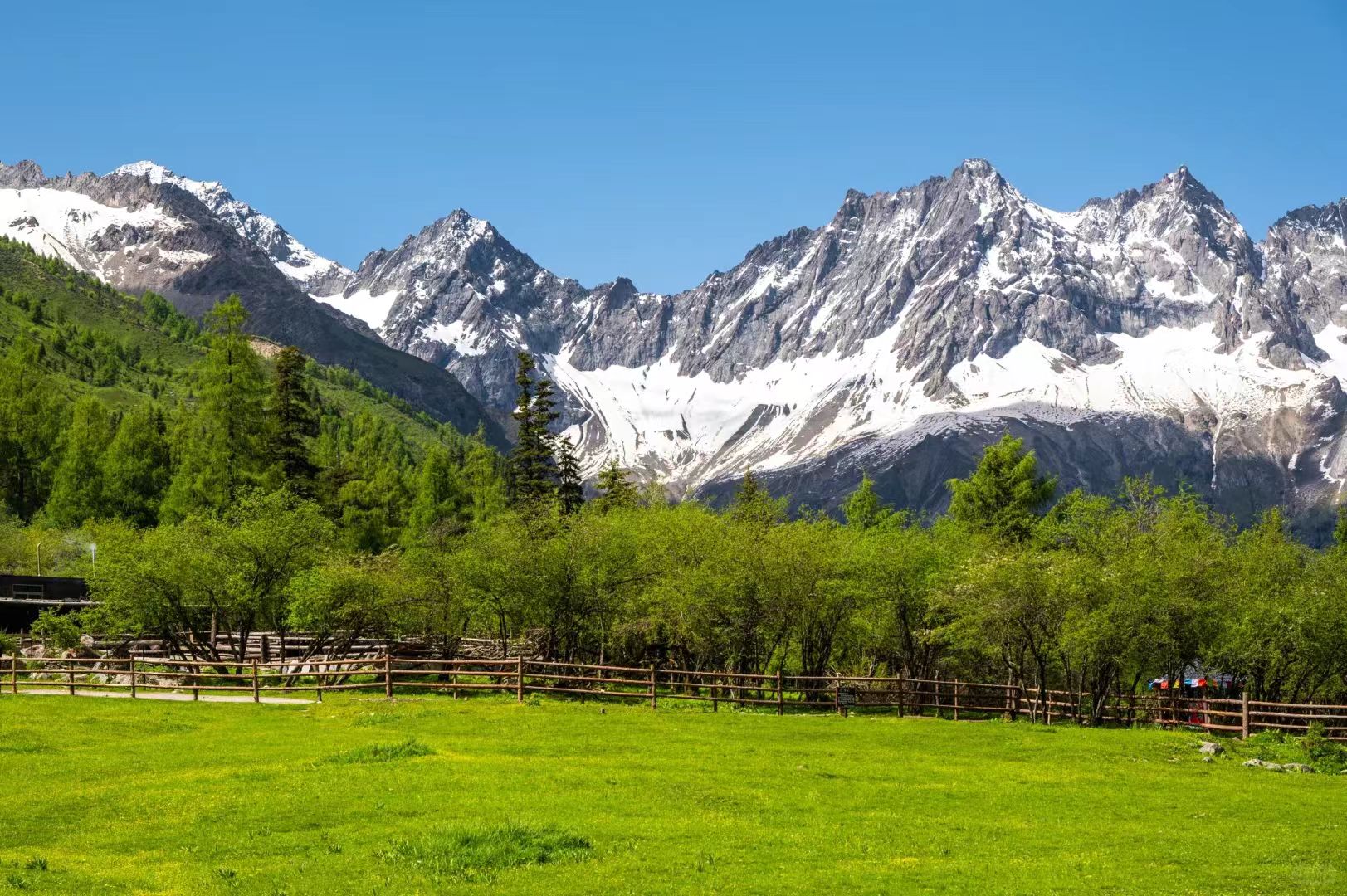 1773210586469044.jpg d9a4ff6a835ceac2ab36b42082fc4d72.jpg