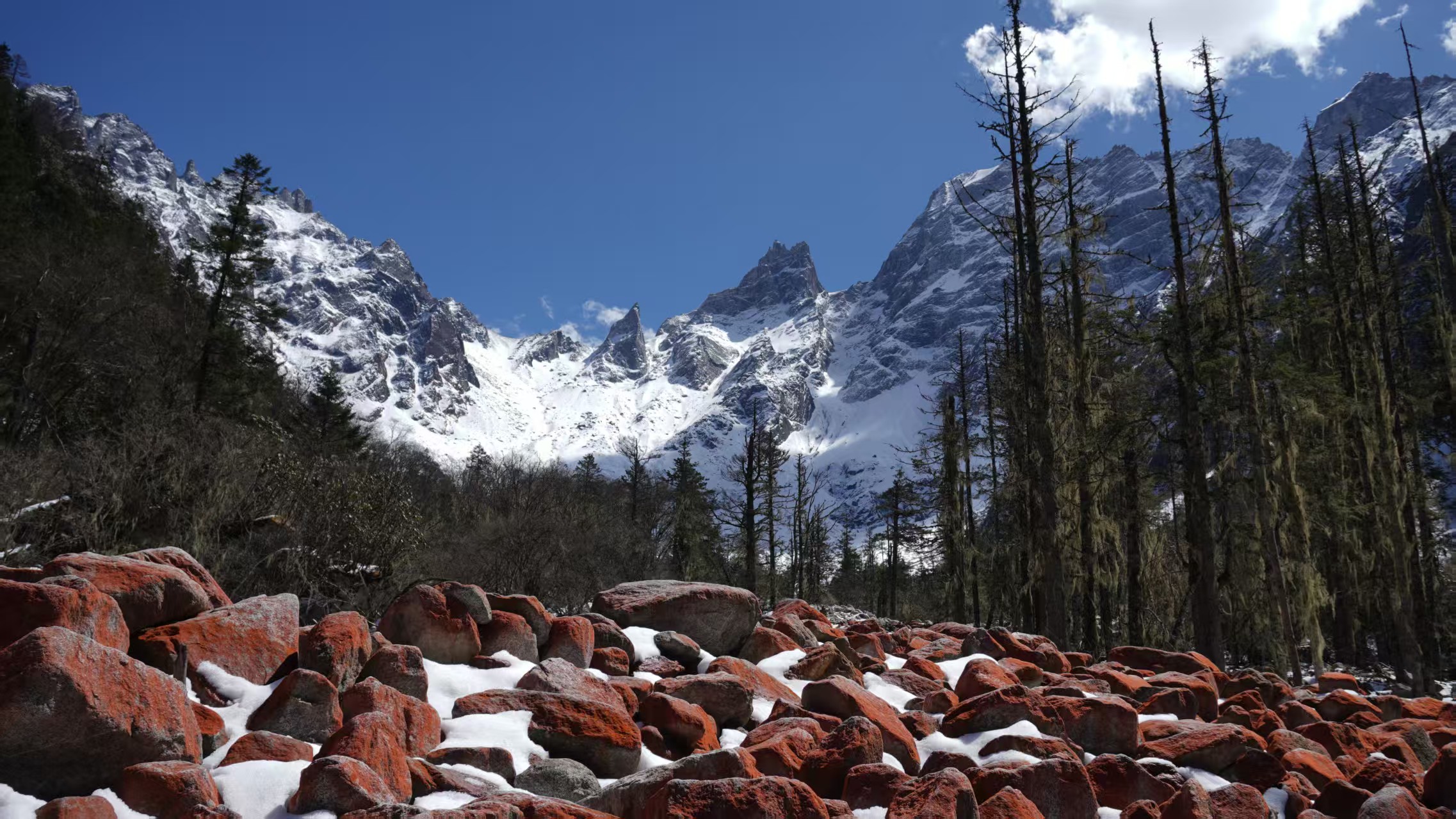 1774234562453162.jpg 6b1f2aa3903e07b026114ad9dbf45a26.jpg