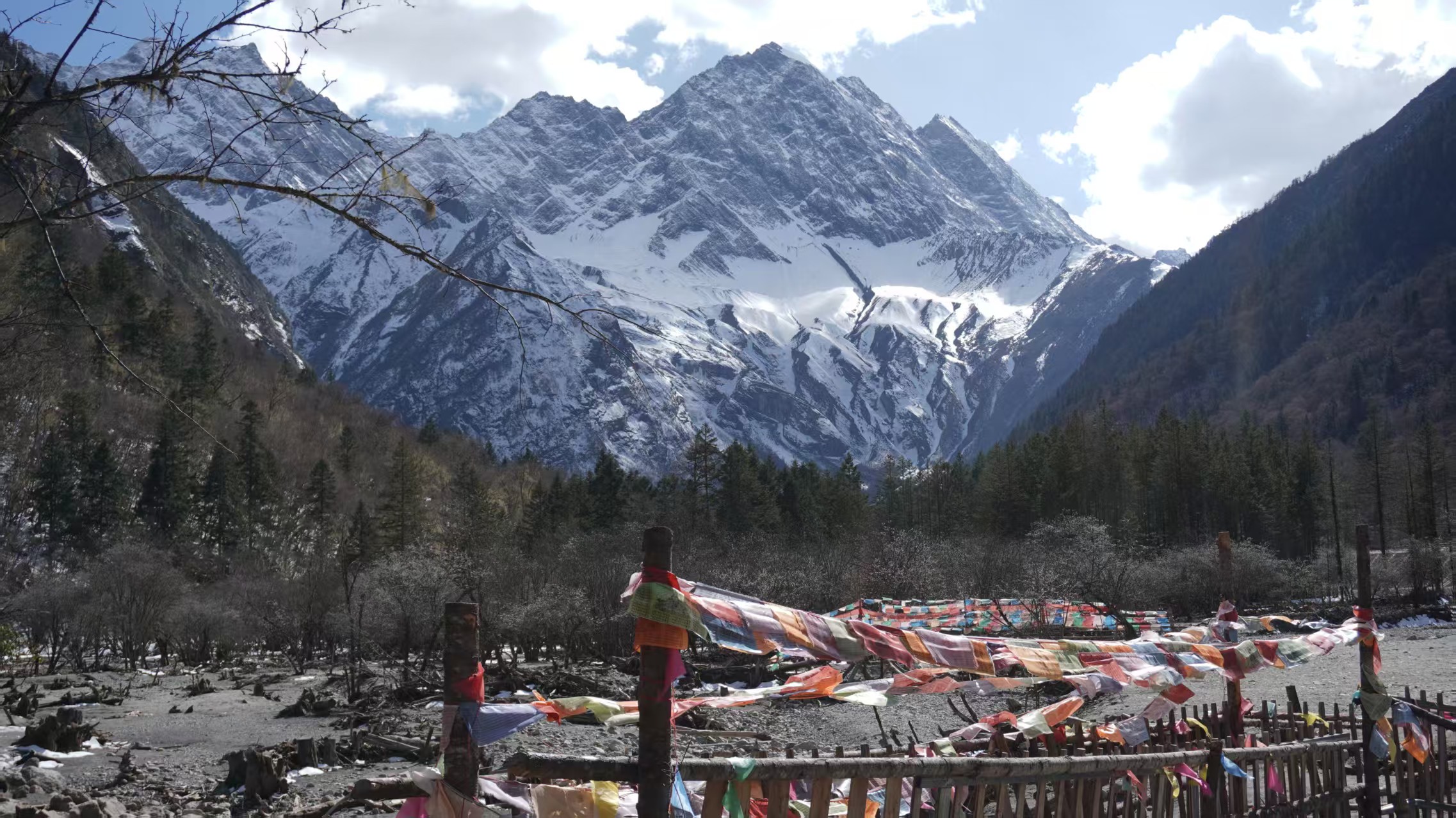 1774234570286820.jpg 88fa8530b3d7ec625c609b022317e8d0.jpg