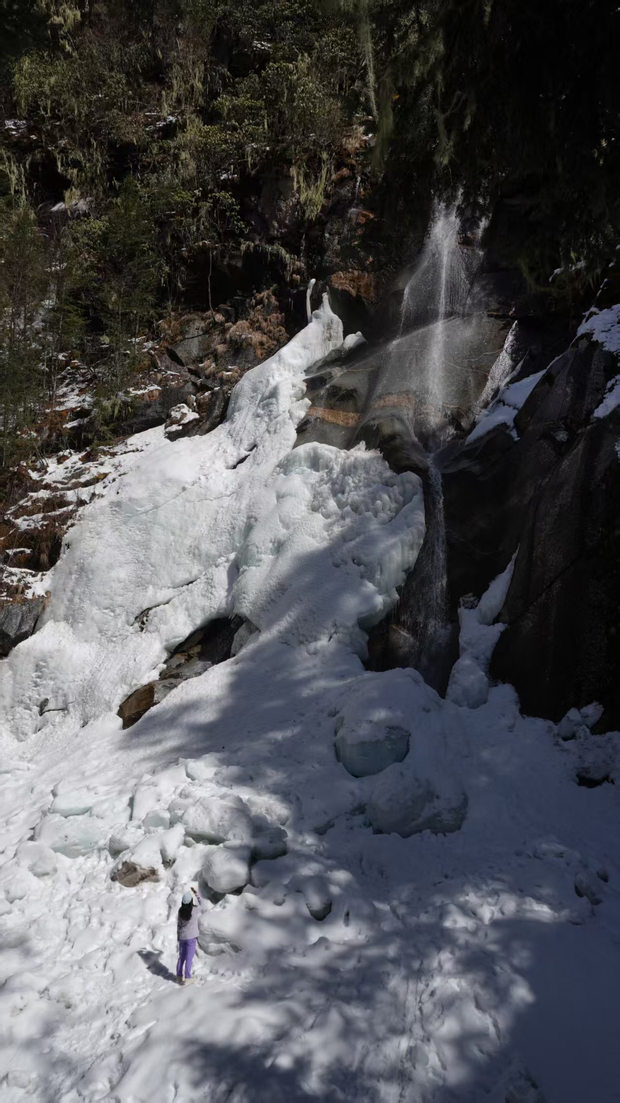 1774234578100455.jpg 5adf963f42ee2c8054aa2948e7ed83d7.jpg