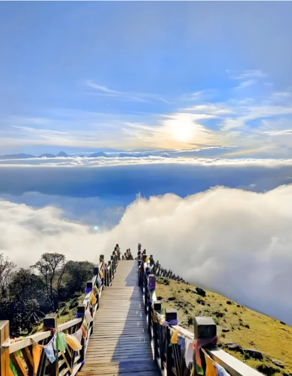 1775025691229606.png 77bd7101e299d72fe195efc90b45366d.png