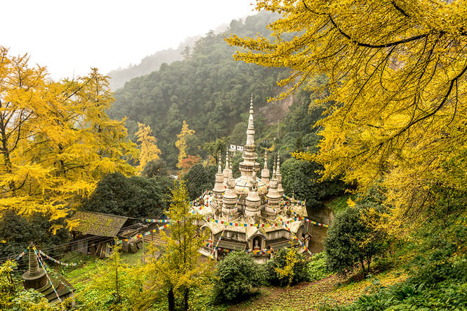 【银杏|白岩寺】银杏染秋,走进藏传佛教圣地秋韵白岩寺