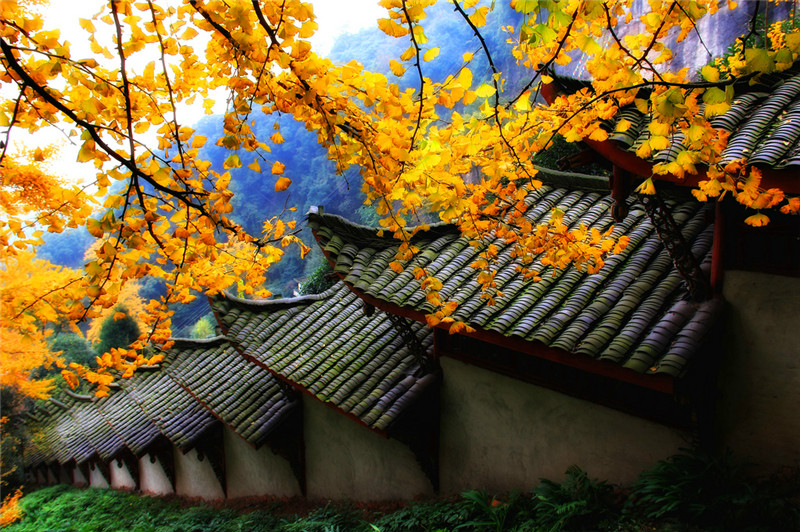 【B线|白岩寺穿越】经典穿越、千年古刹,秋赏九子银杏