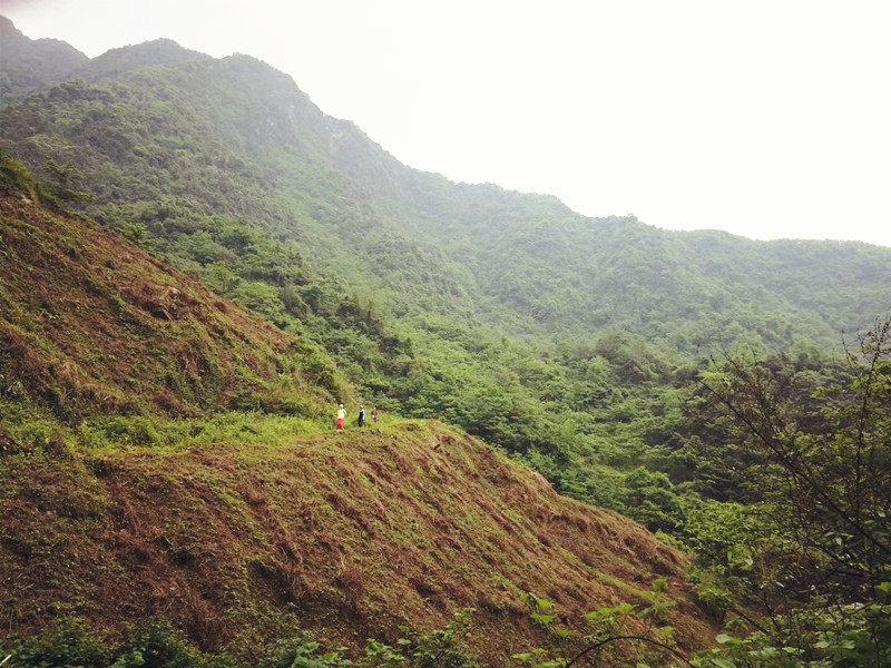 【定向穿越】麻柳岩穿越悦来古镇