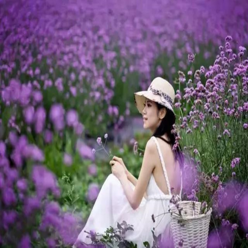 【小鱼洞】鱼凫香山,送你一片紫色花海!