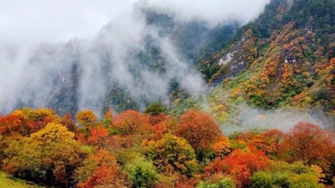 【秋色|耕源牧场】踏歌而行，层林尽染，邂逅高山牧场