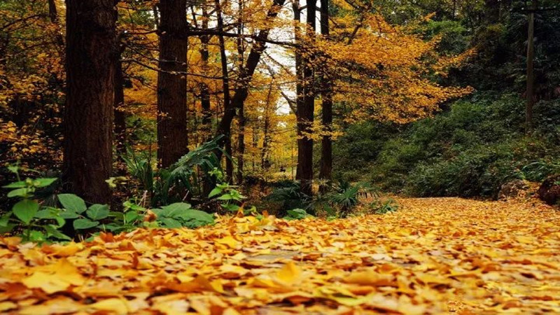 【B线|葛仙山穿越】深秋经典穿越-葛仙山穿白鹿小镇