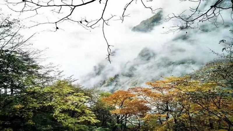 【秋色|九峰山】深秋叶黄时节,徒步九峰山感受秋的气息,看彩林