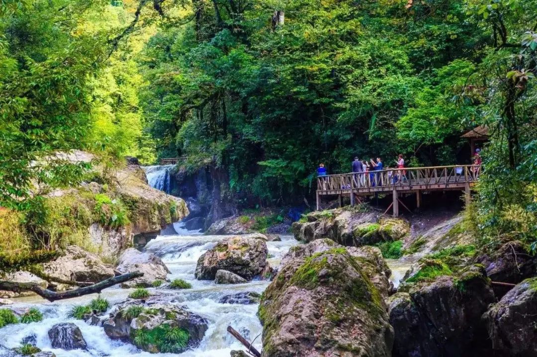 【打卡奖牌|龙苍沟】秋季奖牌出炉!负氧离子是成都的400倍,吸氧洗肺好地方