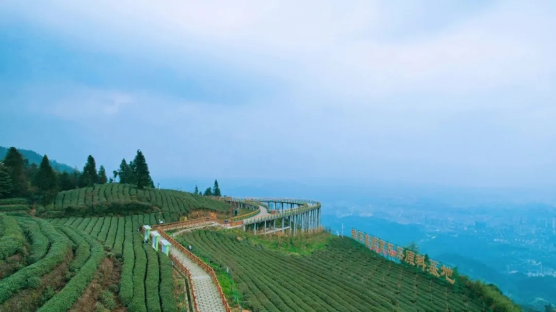 【赢奖牌|蒙顶山】漫游世界茶源轻徒步路线,感受蒙顶山茶文化,通关赢奖牌