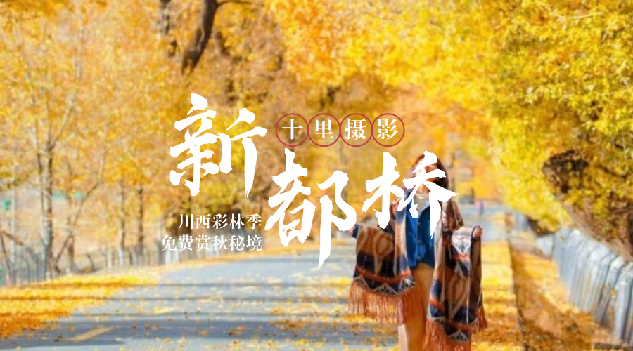 金秋新都桥+鱼子西