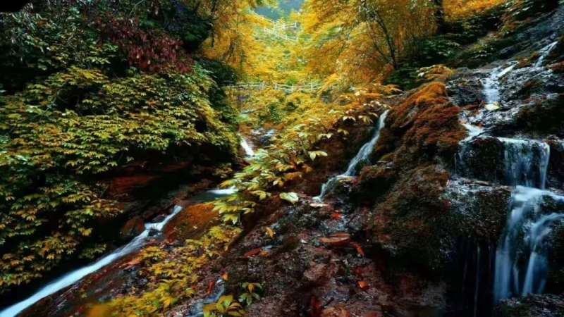 【打卡奖牌|神瀑沟】深秋走进神瀑沟,赏山间秋色,拿打卡奖牌