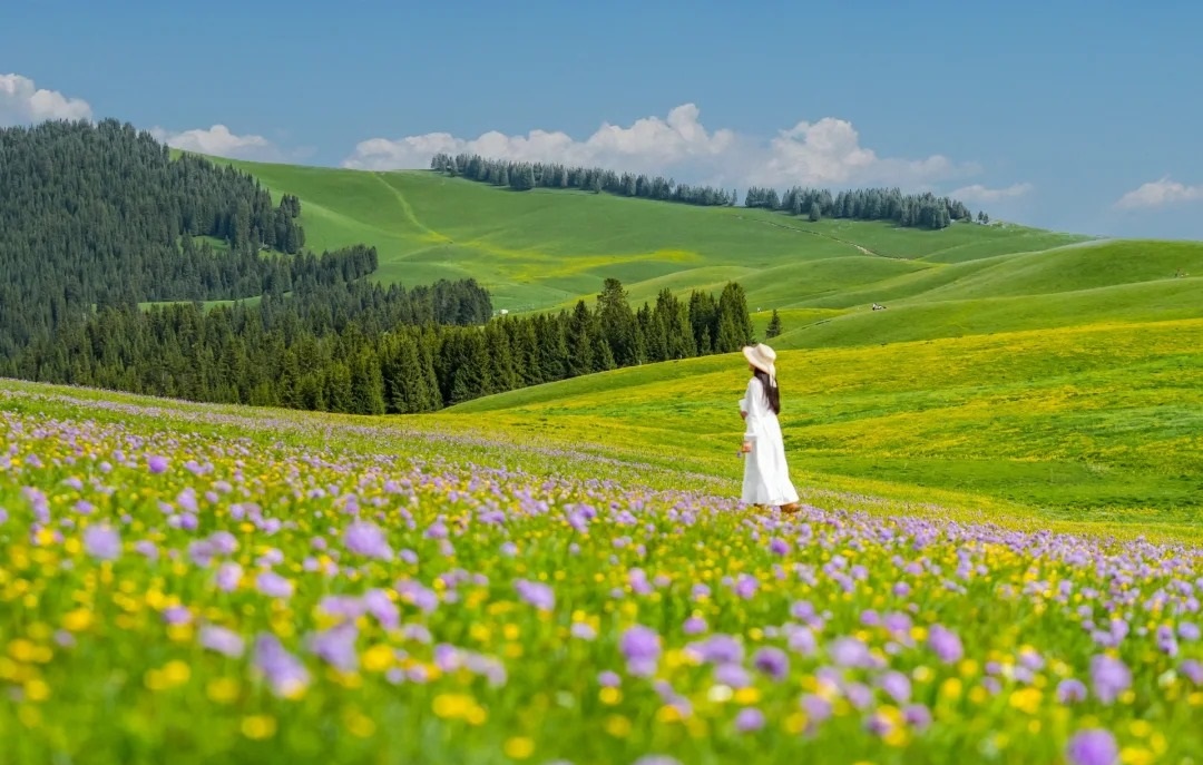 【新疆深度游环线11日】国内旅行天花板!雪山花海草原湖泊,一步一景,每一帧都是封神仙境!