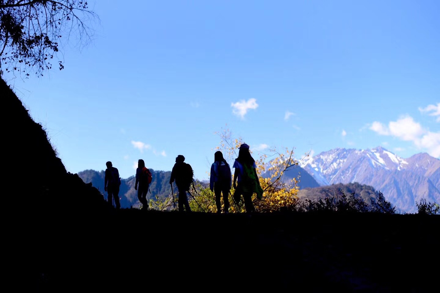 【熊貓坪】走進高山草原,雪地撒歡打滾