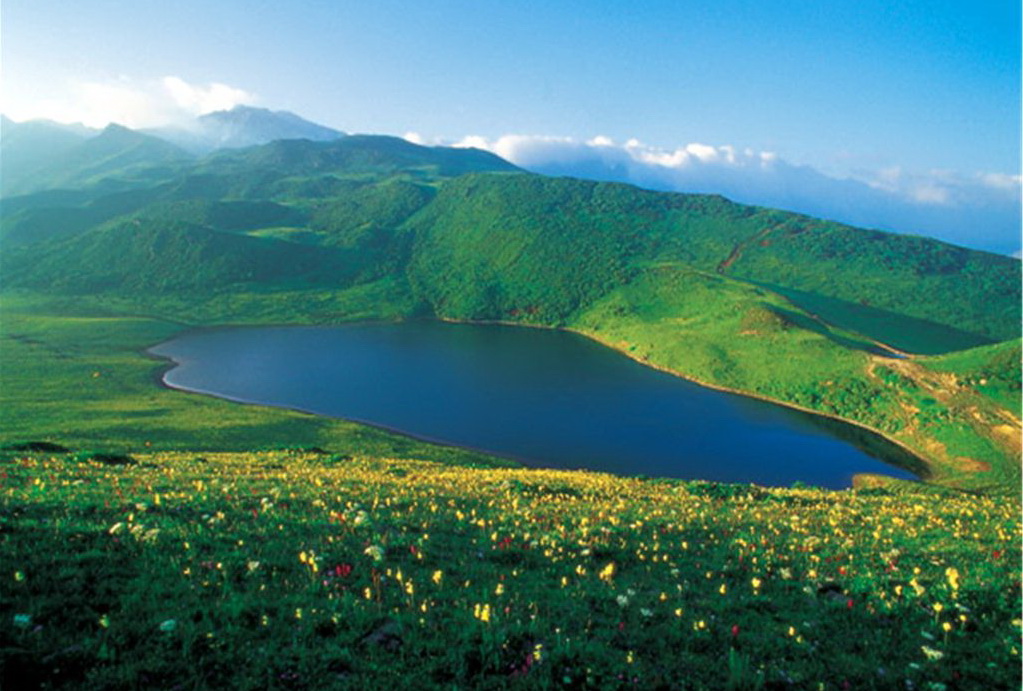 【九顶山花海】漫步羌山花海,九顶山云海露营