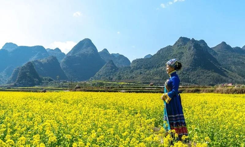 【春节云贵川大环线】初春,醉倒在云贵的芳华原野之旅