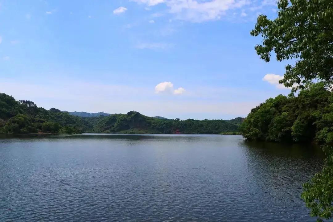 【長灘湖】漁舟唱晚,茶園山居,走進最美長灘