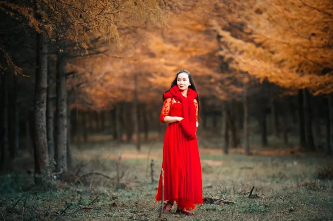 【曾家山赏红叶-定制】-- 秋风吹雨过南楼 一叶心凉是立秋