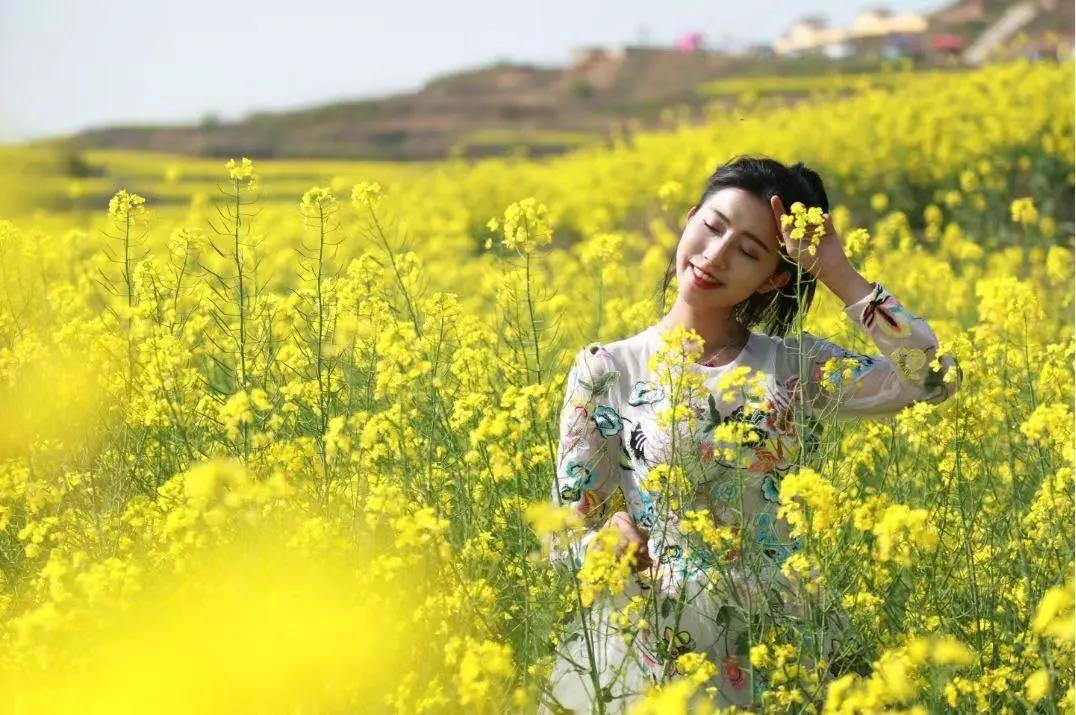 在陽光的照耀下 閃過一束又一束亮光 穿梭在油菜花田中 陣陣花香夾雜