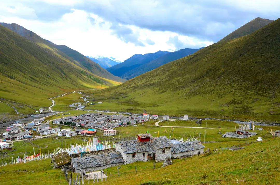 【康巴阿勒泰】草原精灵土拨鼠互动,野花盛开玉科草原,康巴阿勒泰自驾