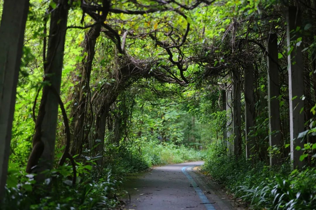 1655799680868168.jpg 微信图片_20220621161822.jpg