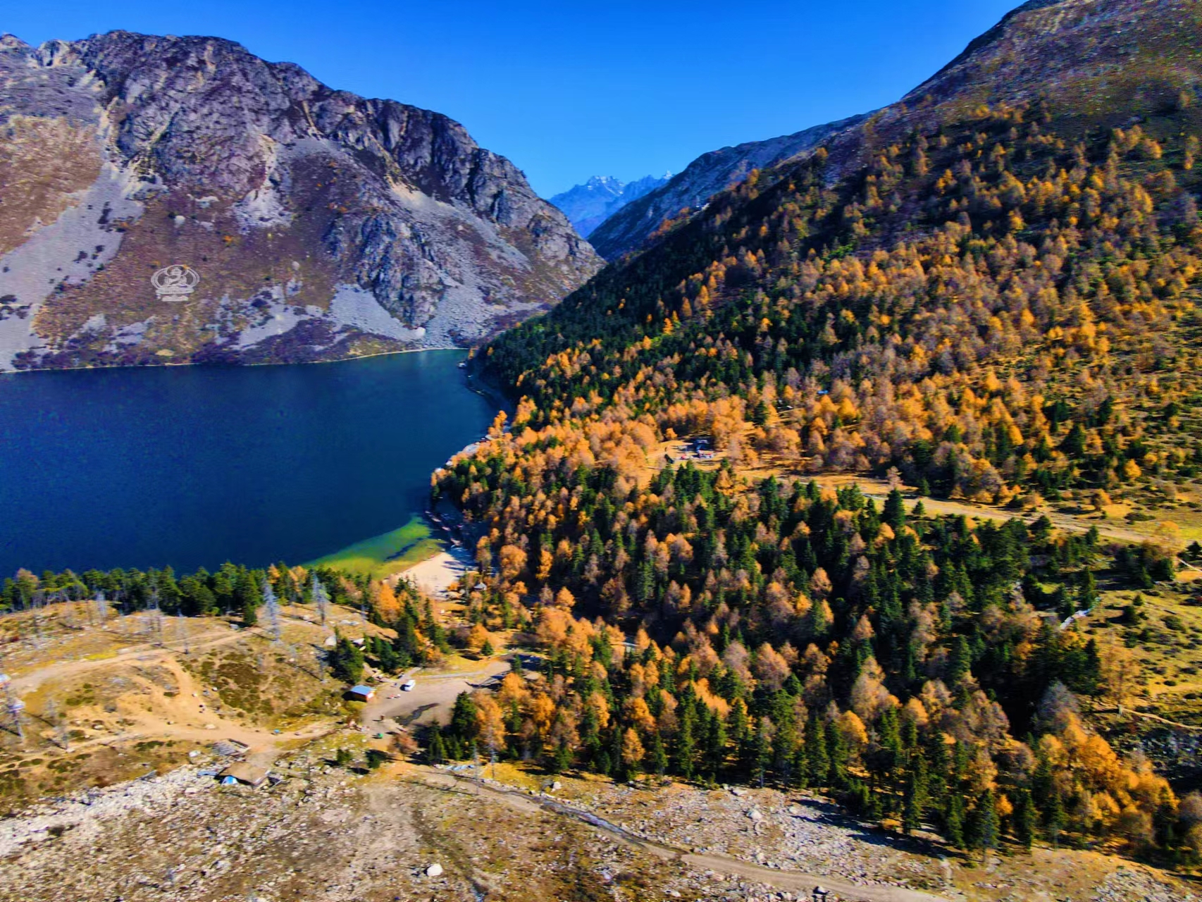 1667786764488561.jpg 592f2d870c38e6c3cdf7030711504c0.jpg