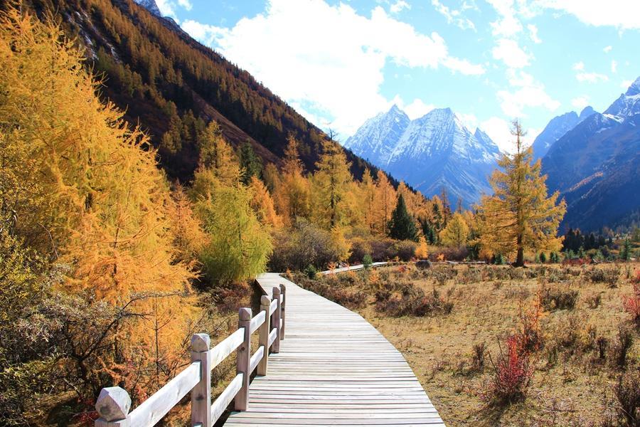 1696923242727787.jpeg 6d2f2d51642388af7e22efc636c32a25 (1).jpeg