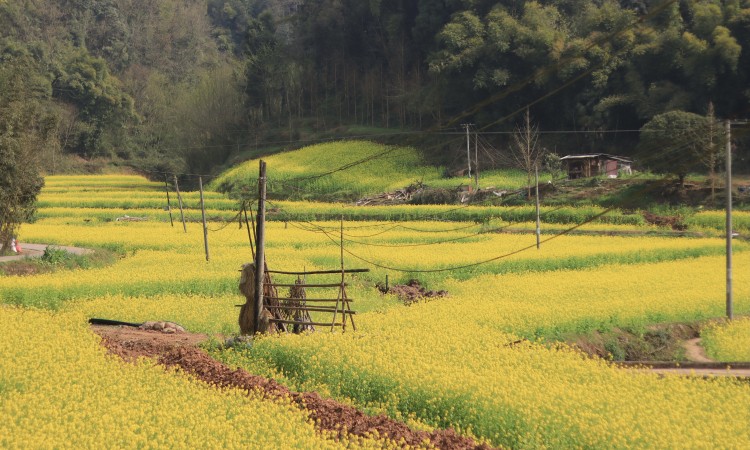 1709353811662944.jpg 1709176726850308.jpg