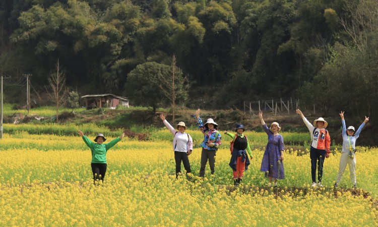 1709353839811888.jpg 1709176704166446.jpg