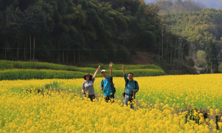 1709353843928478.jpg 1709176766106989.jpg