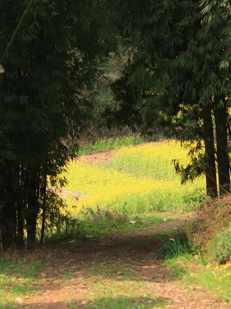 1709353883636002.jpg 1709176747301652.jpg