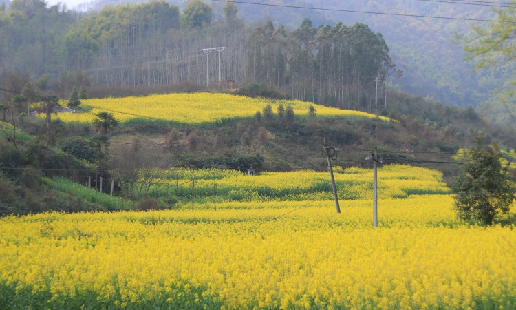 1709353906237214.jpg 1709176721748193.jpg