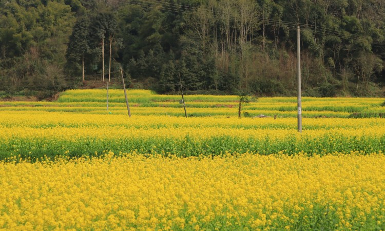 1709353924740590.jpg 1709190286103491.jpg