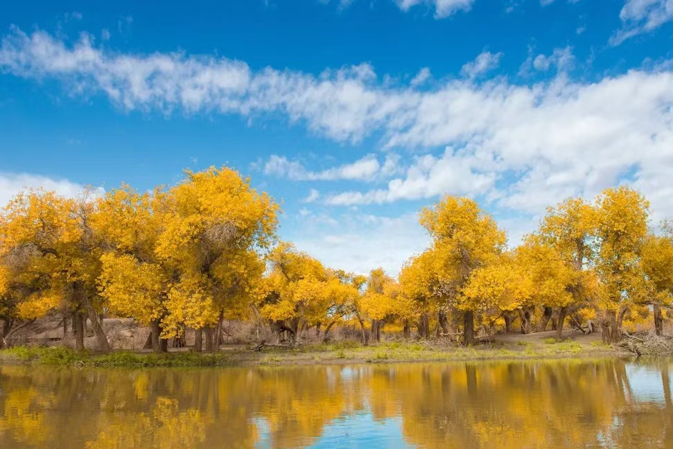 1723089896354069.jpg 微信图片_20240808120313.jpg