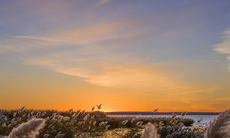 1723090036659380.jpg 微信图片_202408081203131.jpg