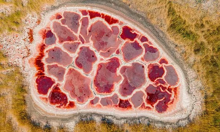 1723090296822875.jpg 微信图片_20240808120311.jpg