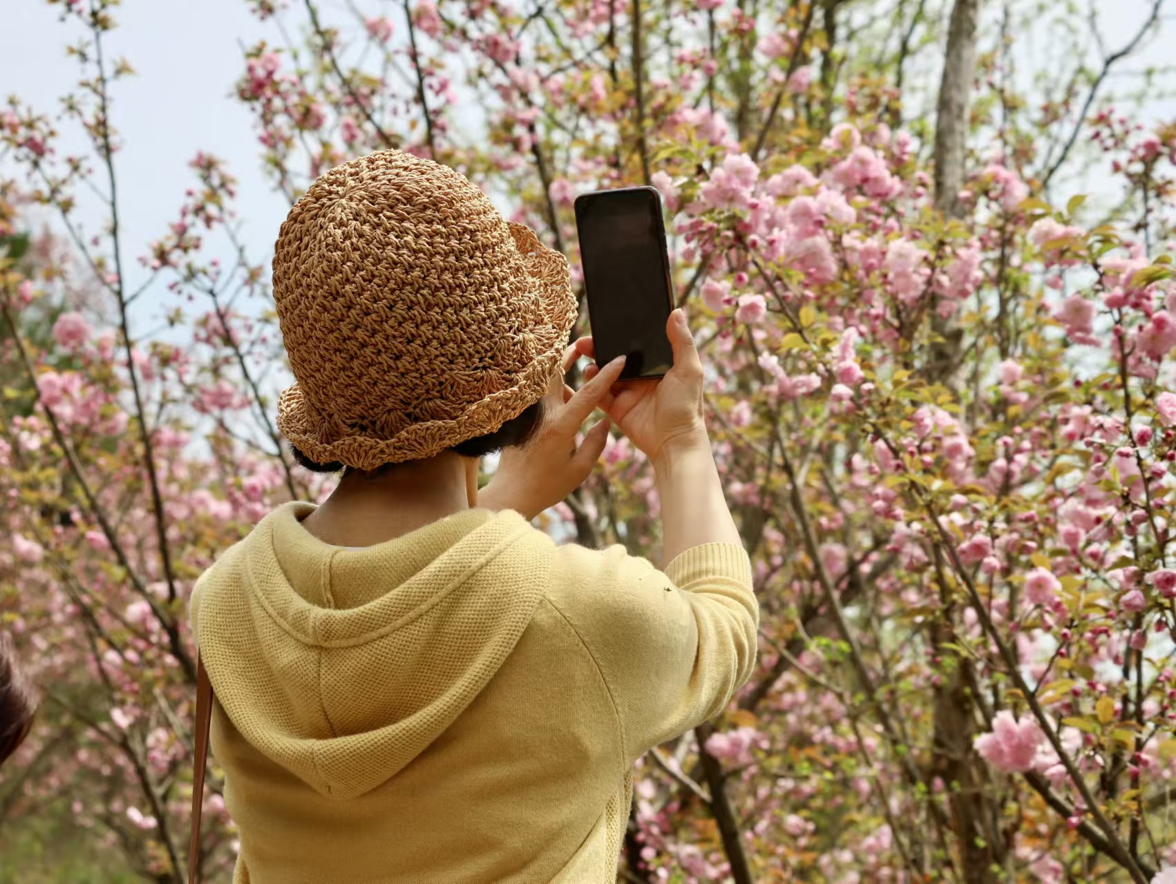 1743777324957398.jpg 微信图片_20250404223351.jpg